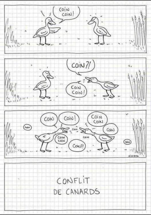 conflit de canards