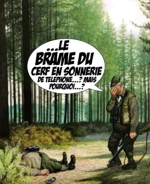 Brame Du Cerf